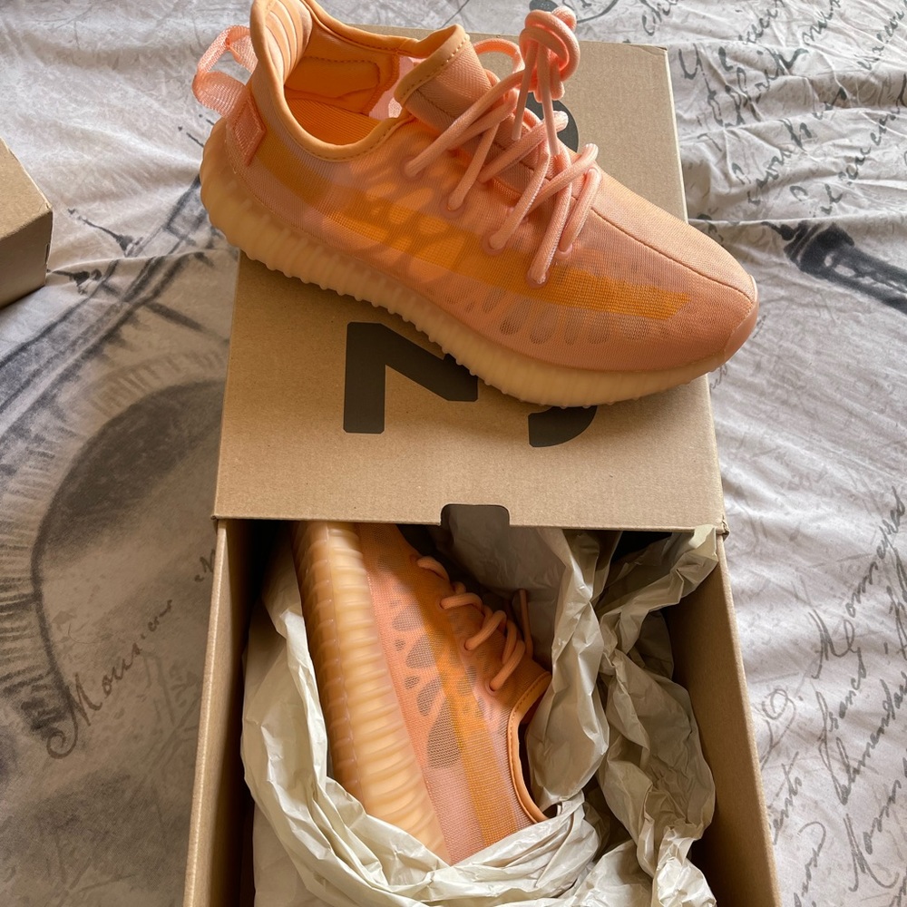 Authentic Yeezys brand new in box